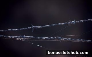 彩金游戏视角：幸运飞艇在菲律宾与马耳他的娱乐市场对比